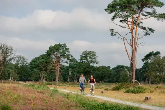 Kamp Westerbork | Combineer fietsen met de geschiedenis